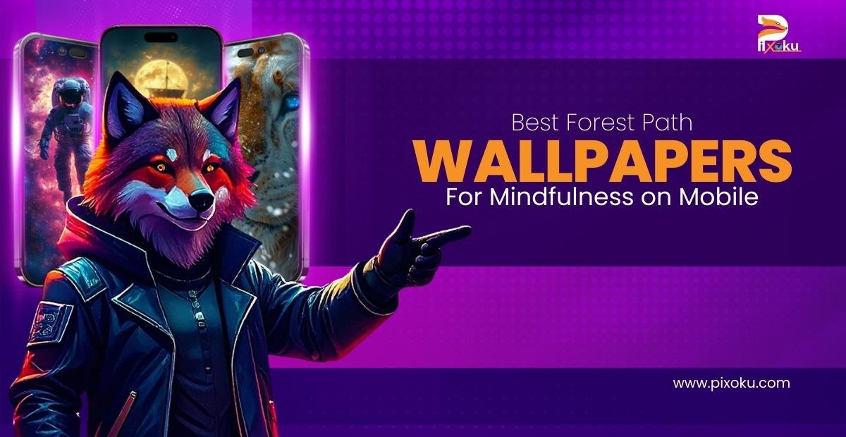 Best Forest Path Wallpapers for Mindfulness on Mobile